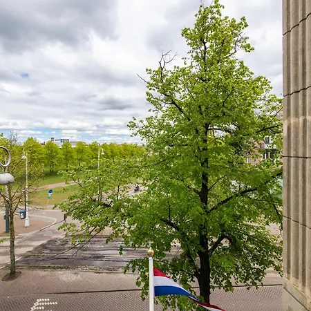 Museum Square View