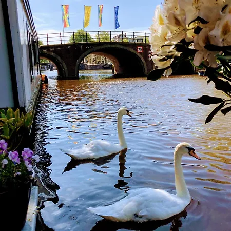 Houseboat Orpheus Отель типа 