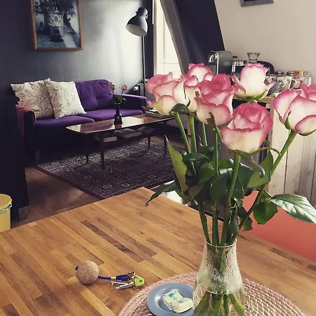 Alojamento de Acomodação e Pequeno-almoço Lola
