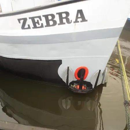 Zebra Nocleg ze śniadaniem