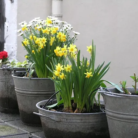 Singel 100 Bed & Breakfast Amsterdam