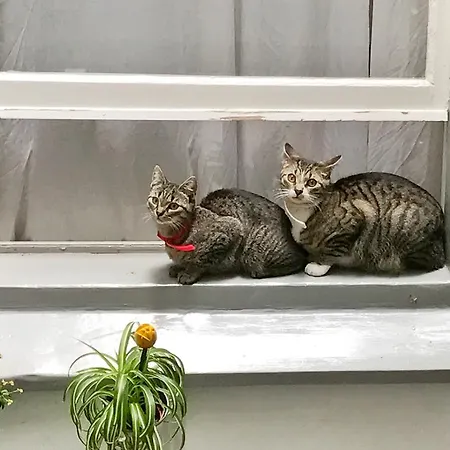 Отель типа 