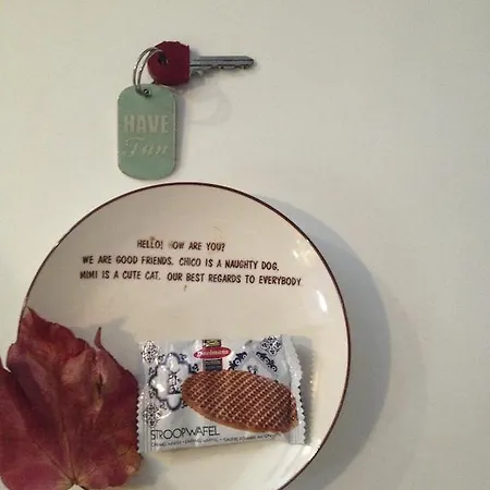 The Blue Sheep Bed & Breakfast 3*