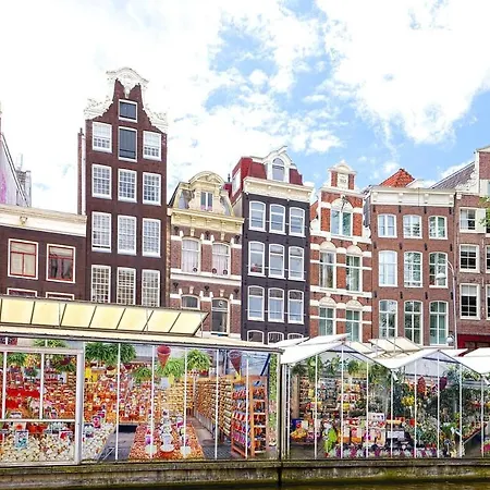 Owl Hotel 3*