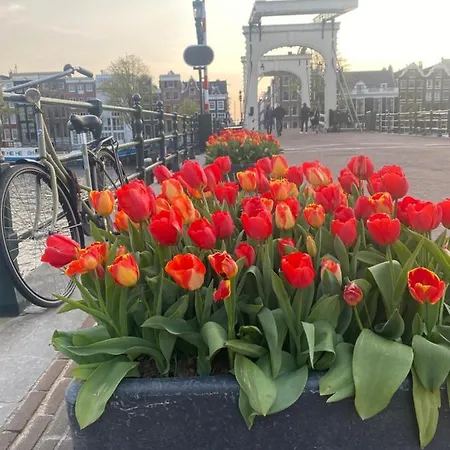 Bed & Breakfast Amstel Boutique Amsterdam