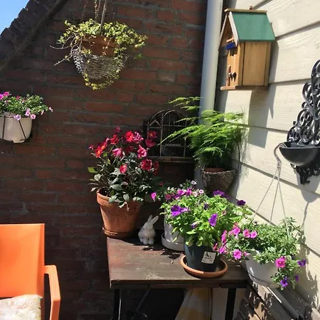 Central Guest house