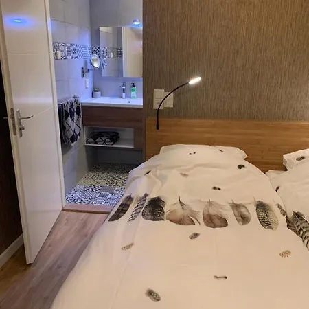 Garden And Economy 암스테르담