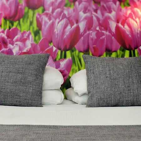 Hotel Ibis Styles 3*