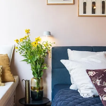 Luxurious In Vondelpark/museum District Bed & Breakfast 2*
