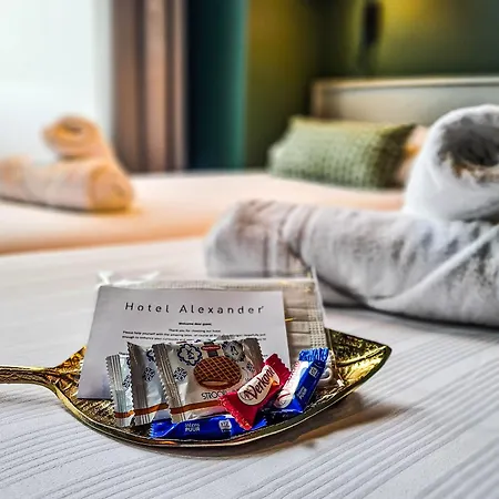 Alexander Hotel 3*
