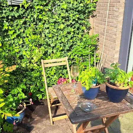Dubbelink 3a Homestay Amsterdam