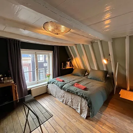 Attic Monkeys Oda ve Kahvaltı Amsterdam