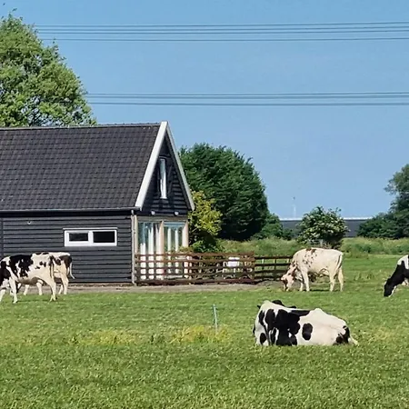 Farmer , Bed, Bike And Breakfast In Bed and Breakfast