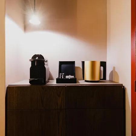 Hotel De Vijsel 4*