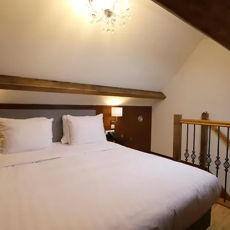 Hotel Chasse