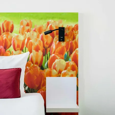 Ibis Styles 3*