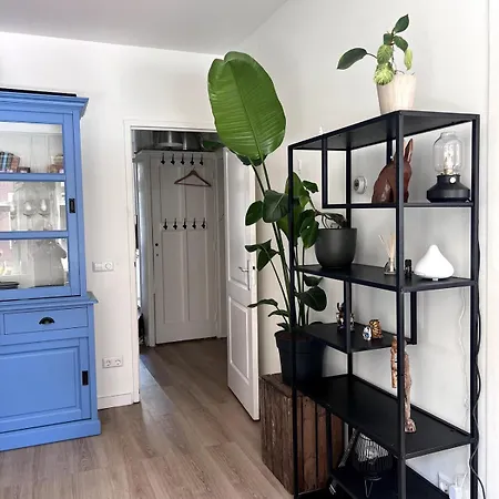 Centrally Located 2-bedroom In Oud-west Apartamento *