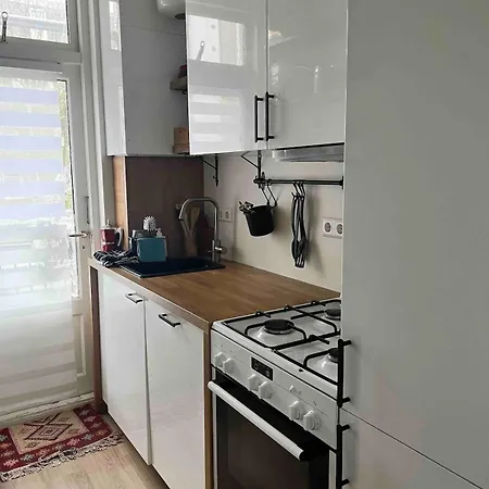 Centrally Located 2-bedroom In Oud-west Apartamento Ámsterdam