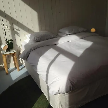 Miauw Suites, Canal View City Centre