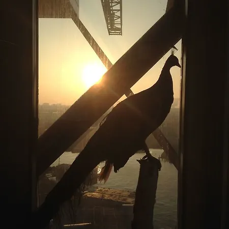 Hotel Crane Faralda