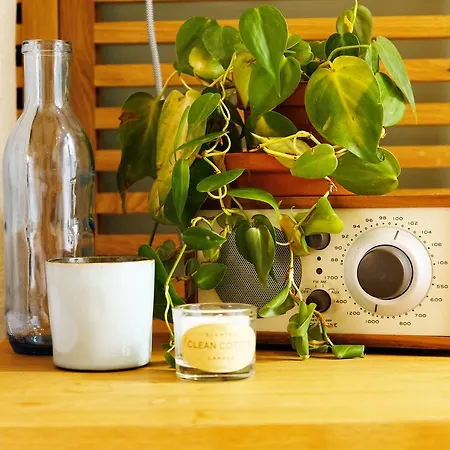 La Vie En Roos Bed & Breakfast Amsterdam