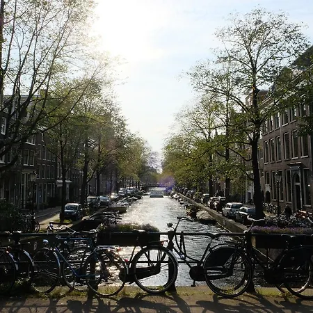 La Vie En Roos Amsterdam