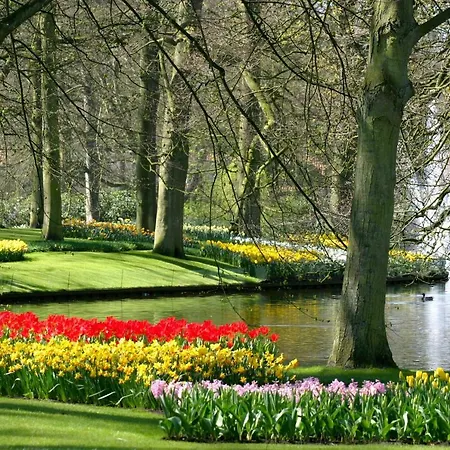 Hotell Crown Amsterdam