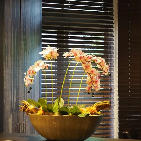 Blossoms אמסטרדם