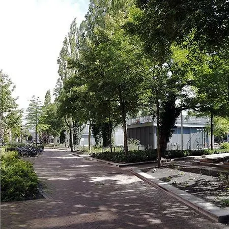 Ecofriendly Close To Center Homestay Amsterdam