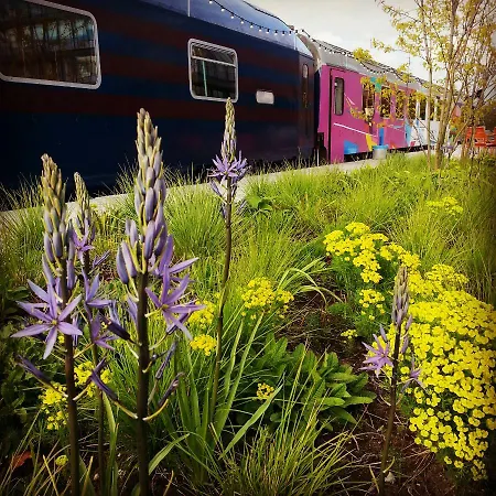 Train * Amsterdam