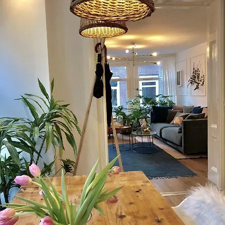 B&B Bee - In The Trendy Jordaan