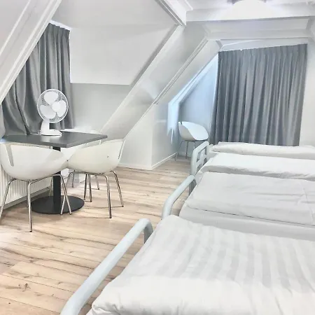 The White Tulip Hostel