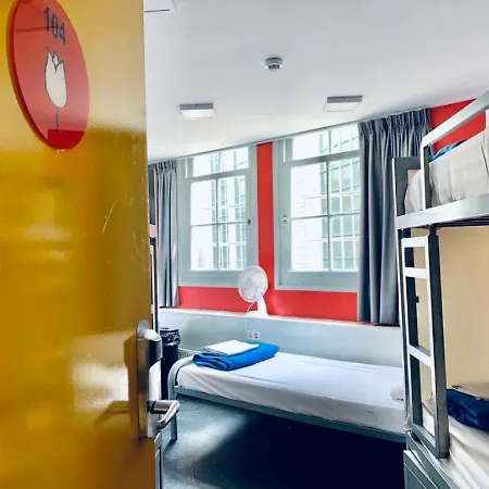 旅馆 白色郁金香旅馆 阿姆斯特丹