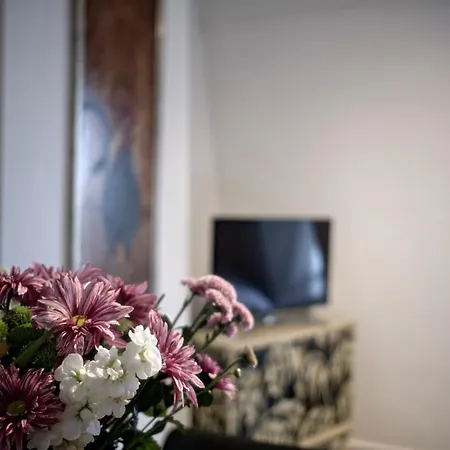 Bed & Breakfast Cozy Pijp Amsterdam