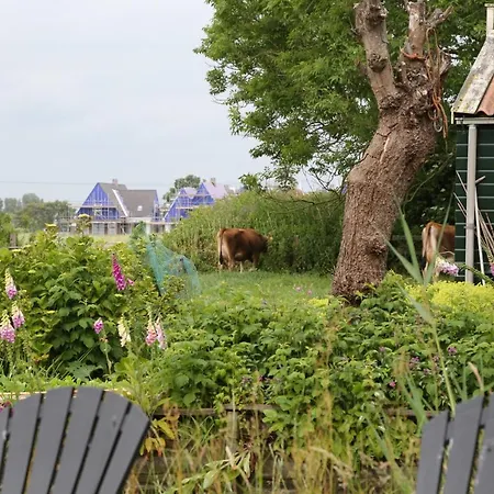Bed & Breakfast Bed And Amsterdam
