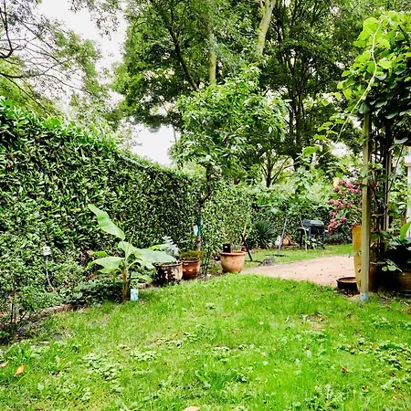 Treehouse Duivendrecht