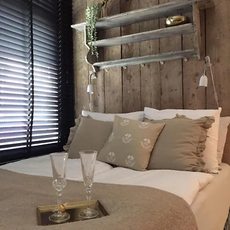 Guesthouseamsterdam Affittacamere