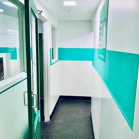 The White Tulip Hostel