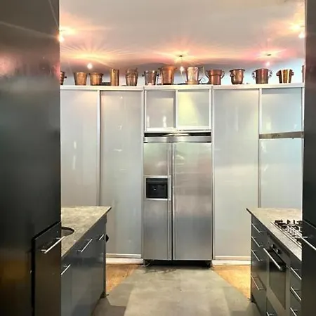 Elegant Penthouse Loft Of 250 M2 In City Centre With Huge Roofgarden 80 M2