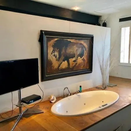 Elegant Penthouse Loft Of 250 M2 In City Centre With Huge Roofgarden 80 M2 Apartment Amsterdam