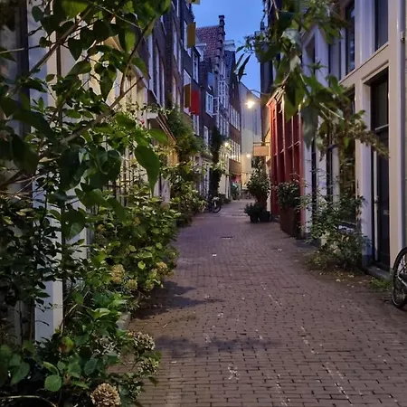 Here's Lucy Amsterdam