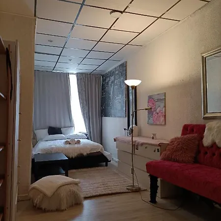 Homestay Big In De Center