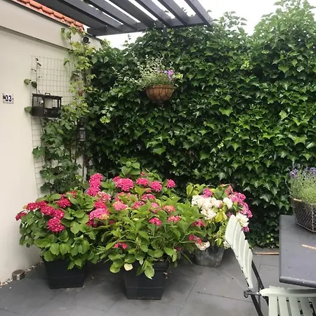 Bed & Breakfast Diemerbrug Bed & Breakfast