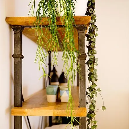 Bed & Breakfast Bloemgracht