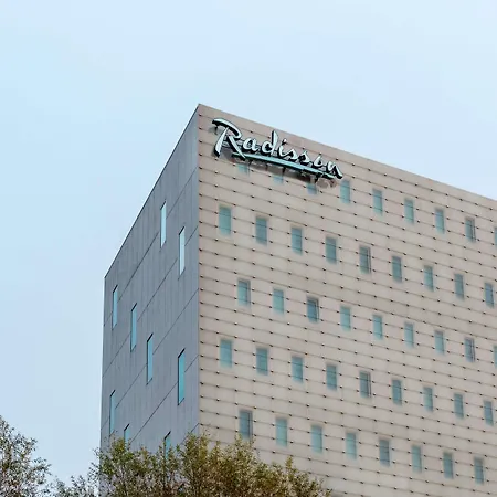 Radisson And South Hotel