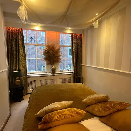 The Enlightened House Luxury *