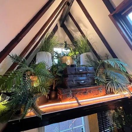The Enlightened House Luxury Hotel *