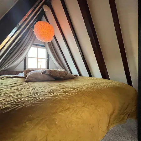 The Enlightened House Luxury *