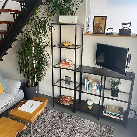 Willem De Zwijgerlaan Luxury Ark Apartamento *