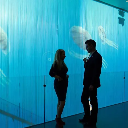 Art'otel Amsterdam, Powered By Radisson Hotel Amsterdam